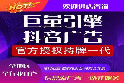 金融行业SEM服务的创新应用与效果